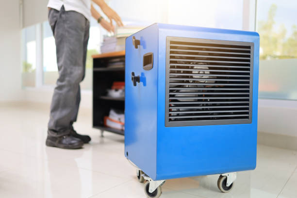 Dehumidification Services in Oro Valley, AZ